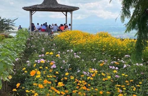 Karo Villa | Villa Cemara Siosar