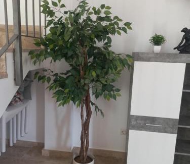 Los Gavilanes House | VILLA CHRIS Ocean View