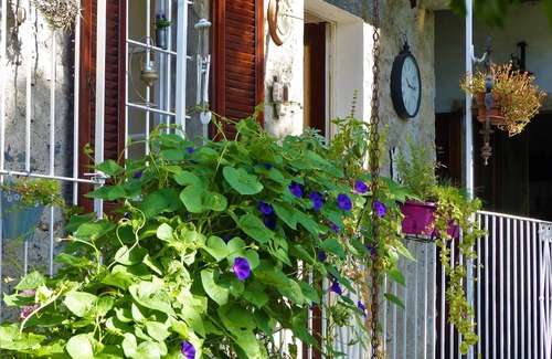 Mergozzo House | Villa CLELIA* chambres d'Hôtes/Guest House - Val Grande National Park.