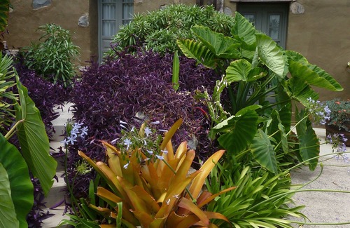 Las Aguas Villa | Villa con Piscina en Primera Linea de Costa finca Ecologica