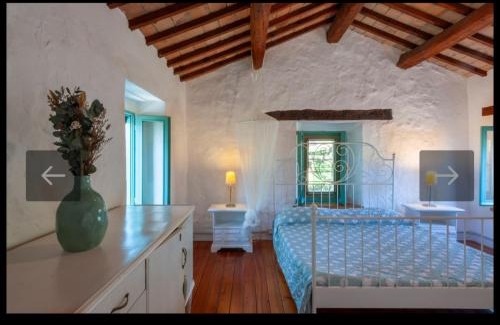 Montegrimano Villa | Villa Coccole