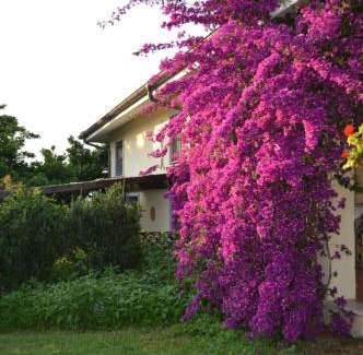 Fara in Sabina Apartment | Villa Collebelvedere - Near Rome with Home Restaurant