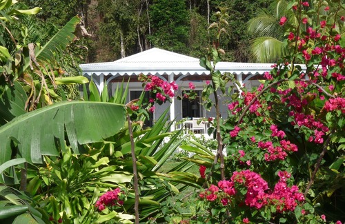 Deshaies House | Villa creole vue mer piscine le carbet de rose animals accepted