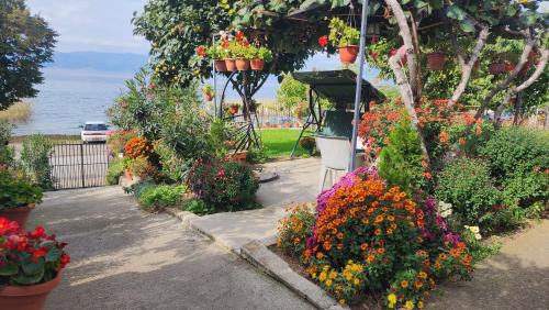 Pestani Apartment | Villa DANIEL Pestani