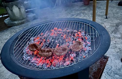 Massa Marittima Apartment | Villa degli Ulivi Terrace