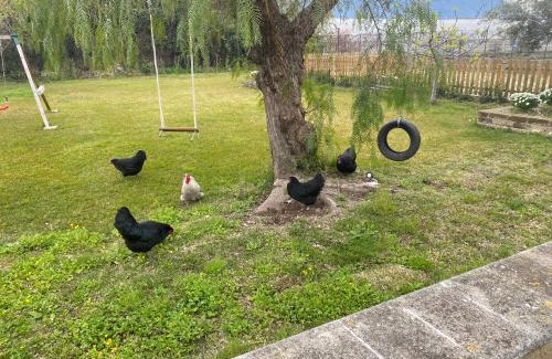 Castellammare di Stabia House | Villa Del Gaudio Rooms & Apartments