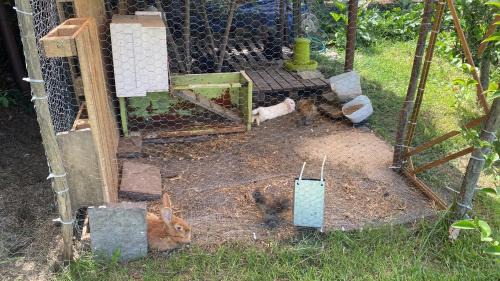 Castellammare di Stabia House | Villa Del Gaudio Rooms & Apartments