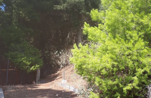 Kalogria Villa | Villa Dunes