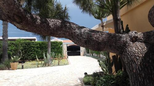 Capilungo Villa | Villa Eleonora con piscina Fronte Mare