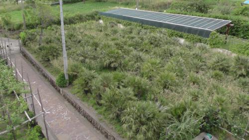 Agerola Bed & Breakfast | Villa Elisa