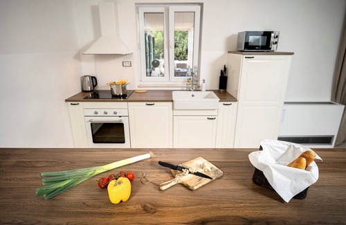 Stari Grad Villa | Villa Ella with private pool and spacious garden