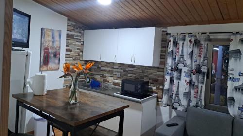 Las Palmas de Gran Canaria Apartment | Villa Olga Rosa