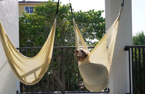 Crescent Beach Villa | Villa Fiorō-Bold Luxury 2BR/River & Coastal Vibe