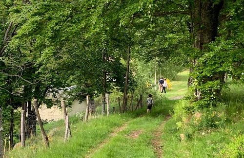 Fresse-sur-Moselle House | Villa Fresse-sur-Moselle, 1 bedroom, 4 persons