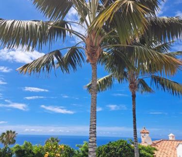 Santa Ursula Villa | Villa Gecko