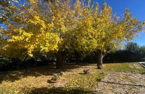 Granarola Villa | Villa Gelsi