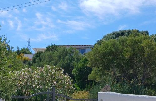 Cugnana Verde Apartment | Villa Ginepro