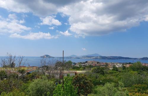 Pozzuoli Bed & Breakfast | Villa Giulia