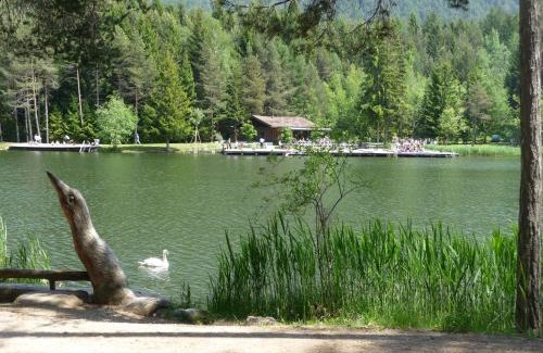Siusi Apartment | Villa Grünewald