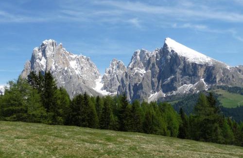 Siusi Apartment | Villa Grünewald