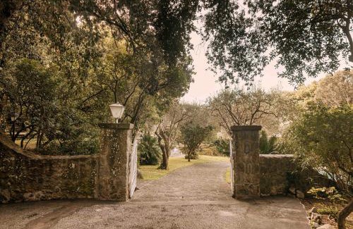 Forio Villa | Villa Grotta Leone