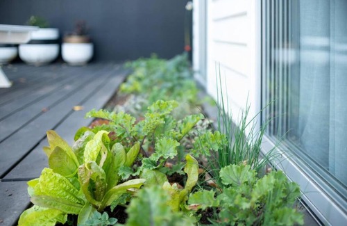 Invermay Apartment | VILLA GWEN: Stunning Character Home Only Moments From The City