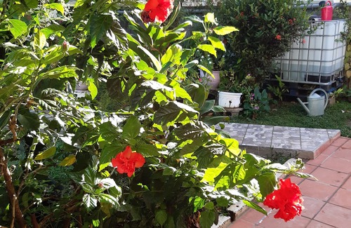 Petit-Bourg Villa | Villa Héliconia on garden level, between sea and mountains, close to shops.