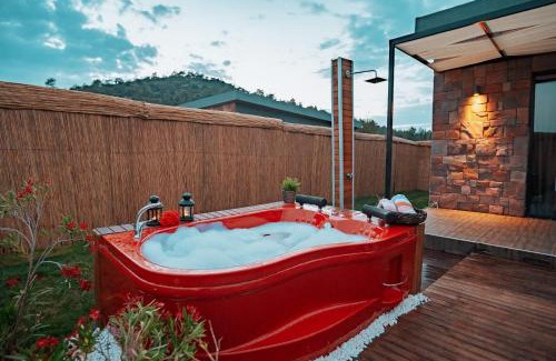 Hisaronu Villa | Villa Honey 2