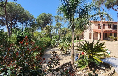 Santa Margherita di Pula Villa | VILLA IN THE PINE FOREST WITH SWIMMING POOL AND PRIVATE BEACH