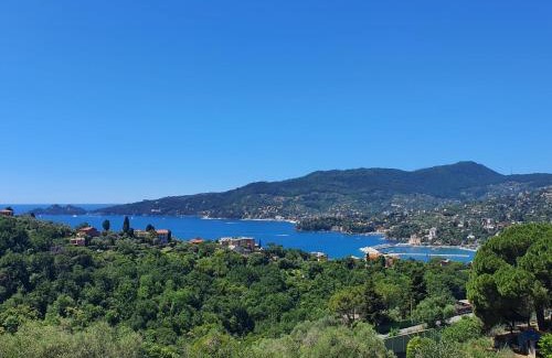 Zoagli Apartment | Villa Joana