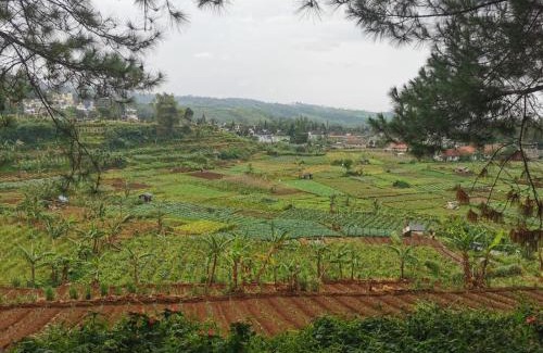 Cipanas Villa | Villa Kota Bunga 2 kamar harga budget