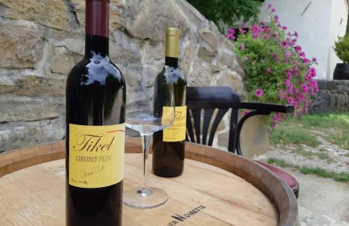 Kotli Apartment | Villa Kotli Stone House