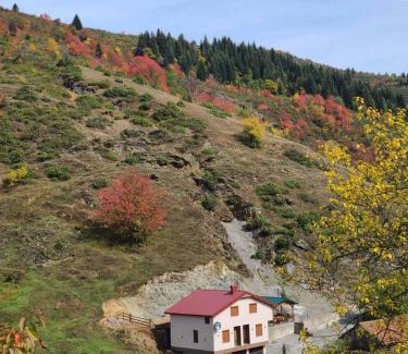 North Macedonia Apartment | Villa Kristina - Apartment no.1