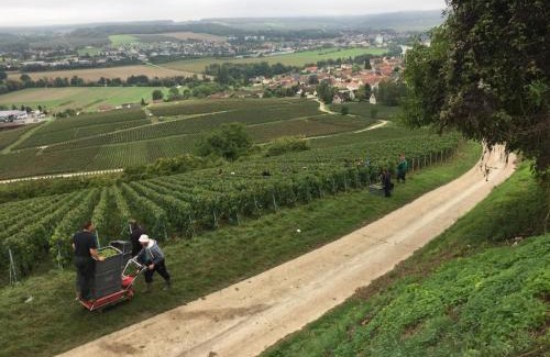 Vincelles Villa | Villa l'INSOUCIANCE en Champagne