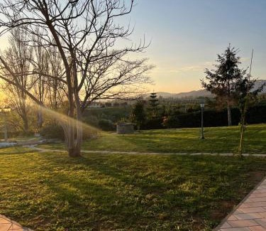 Cerveteri Bed & Breakfast | Villa La Giulia