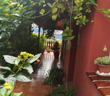 Tegueste House | Villa La Victoria