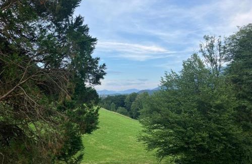 Bad Reichenhall Apartment | Villa Lamprechtshof