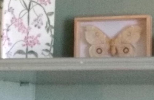 Veyrier-du-Lac House | Villa le Lac - Cottage au bord du Lac d' Annecy - chambres -