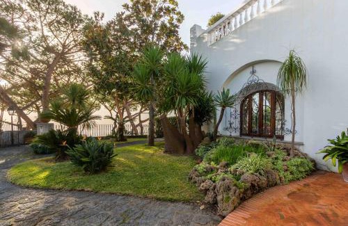 Lacco Ameno Villa | Villa Le Pagine Bianche