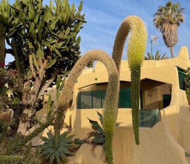 Bahia Calma Apartment | Villa Los Silos