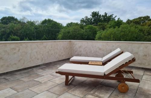 Gostinjac Villa | Villa LuLu kamena villa s maslinikom otok Krk Dobrinj selo Gostinjac