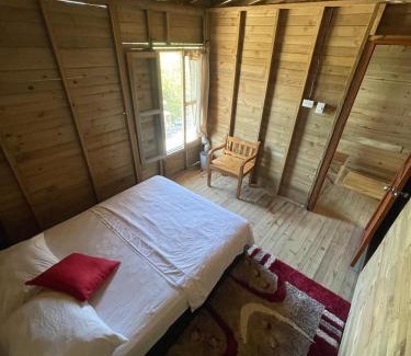 Isla Tintipan Other | Villa Luz Coastal Sanctuary