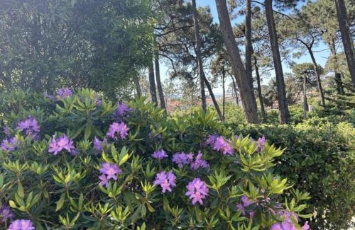 Piraillan House | VIlla MARGUERITE