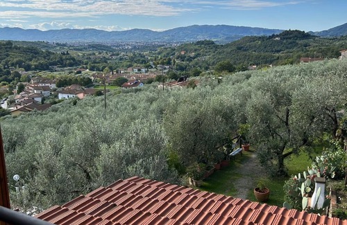 Saturnana House | Villa Martinelli Valdibrana with stunning swimming pool for the exclusive use of guests.