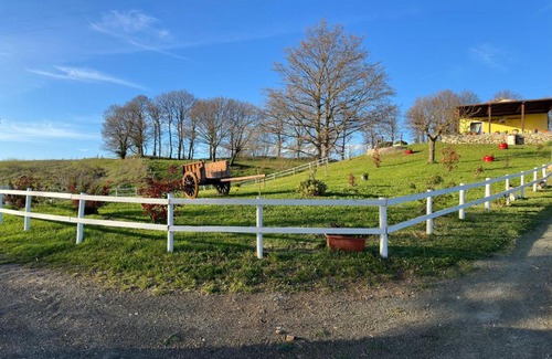 Semproniano House | Villa Matilde