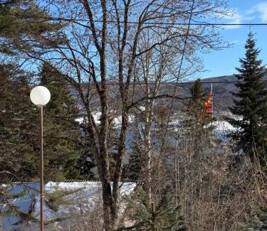 Mavrovi Anovi Apartment | Villa Mavro Mavrovo