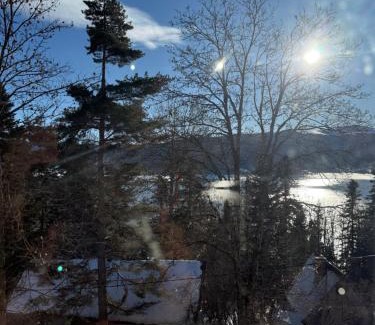 Mavrovi Anovi Apartment | Villa Mavro Mavrovo