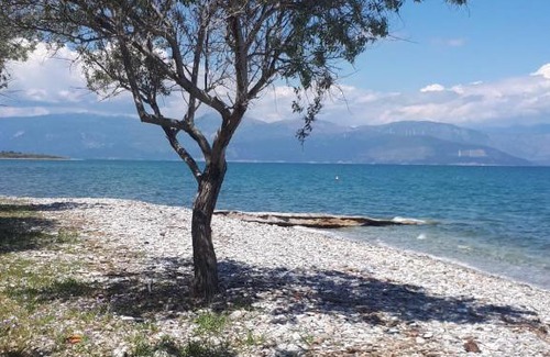 Nikolaiika House | Villa Mira