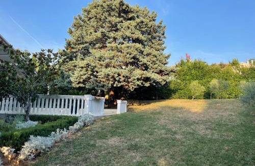 Njivice Villa | Villa Monika
