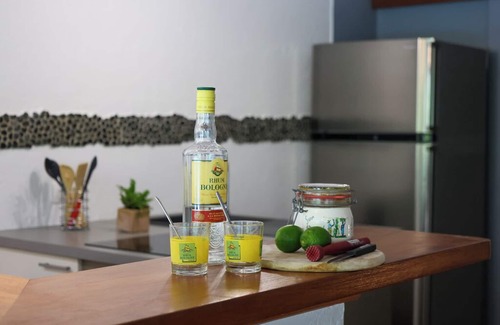 Anse des Rochers Villa | VILLA MORGANITE all comforts, a stone's throw from the sea